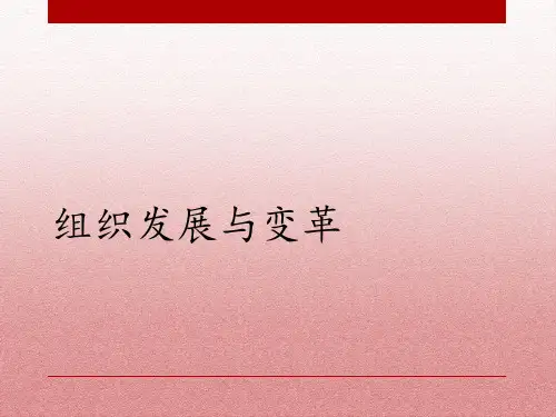 组织发展与变革 ppt课件
