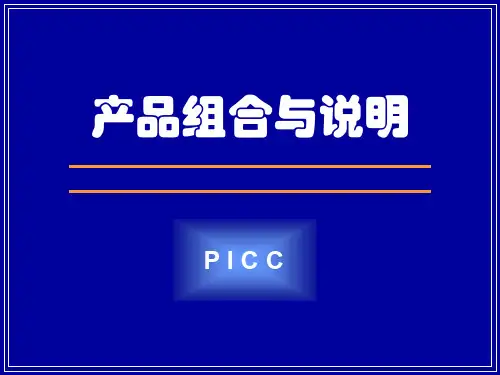 产品组合与说明 PPT课件
