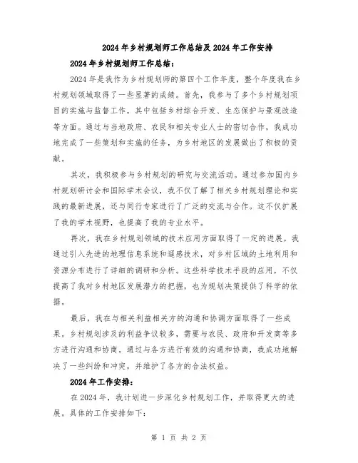2024年乡村规划师工作总结及2024年工作安排