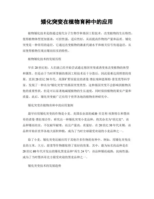 矮化突变在植物育种中的应用