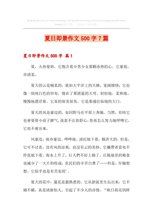 夏日即景作文500字7篇