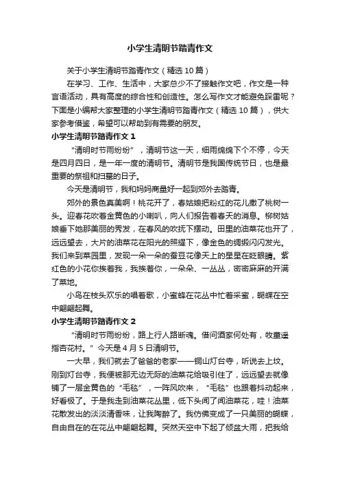 关于小学生清明节踏青作文（精选10篇）