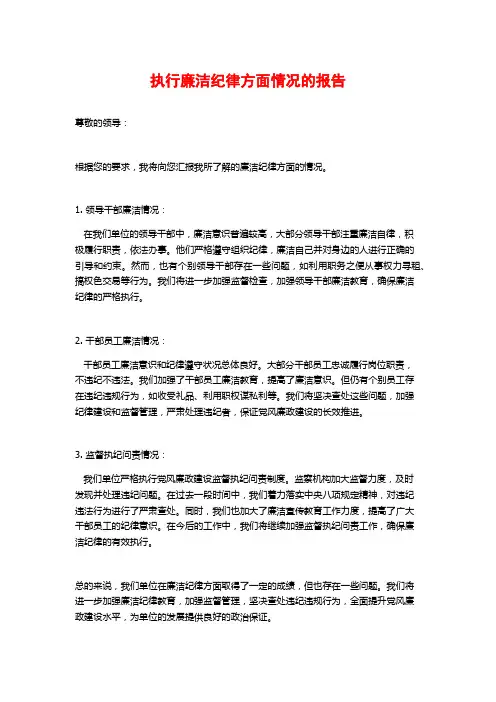 执行廉洁纪律方面情况的报告