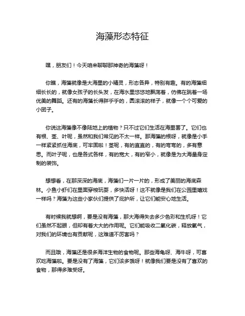 海藻形态特征
