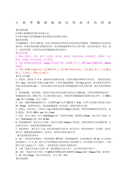小鼠骨髓细胞染色体标本的制备