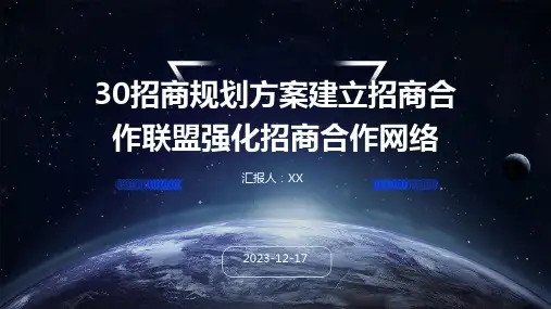 招商规划方案建立招商合作联盟强化招商合作网络