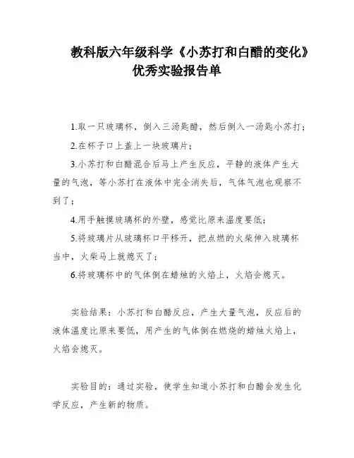 教科版六年级科学《小苏打和白醋的变化》优秀实验报告单