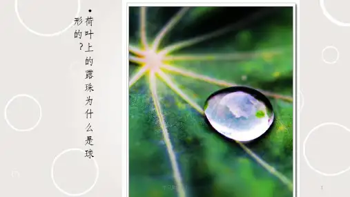 液体表面张力(上课用)课件