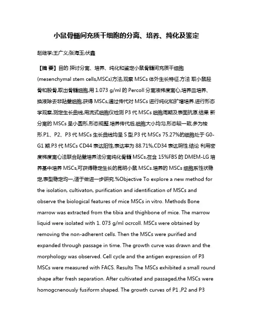 小鼠骨髓间充质干细胞的分离、培养、纯化及鉴定