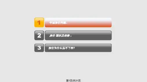 毛概课社会热点分析PPT课件