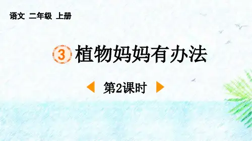 最新统编部编版语文二年级上册《植物妈妈有办法(第2课时)》精品教学课件