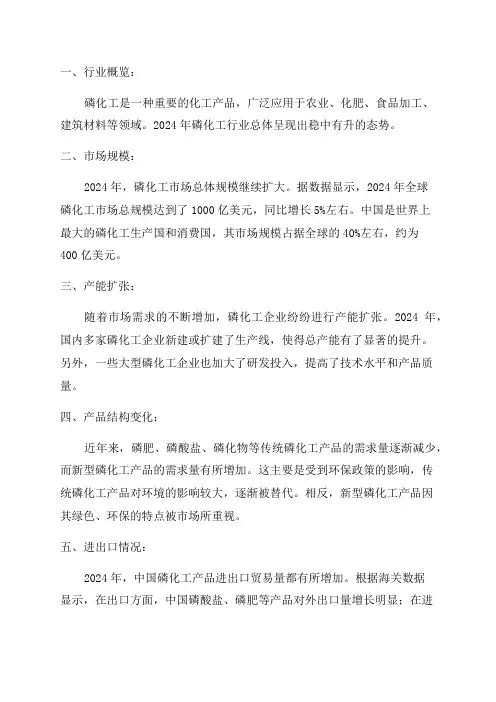 2024年磷化工行业分析报告
