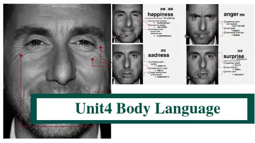 Unit 4 Body Language 单元教学课件
