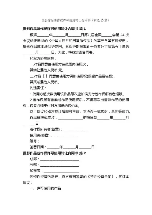 摄影作品著作权许可使用转让合同书（精选13篇）