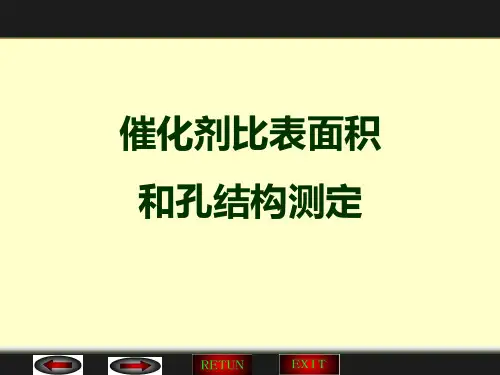 催化剂比表面积