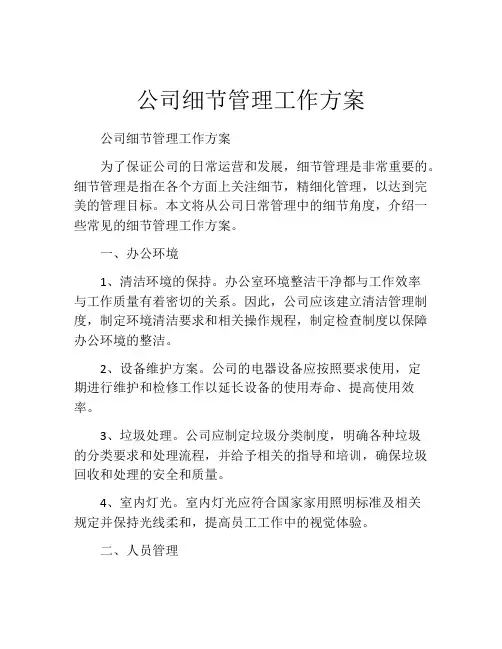 公司细节管理工作方案