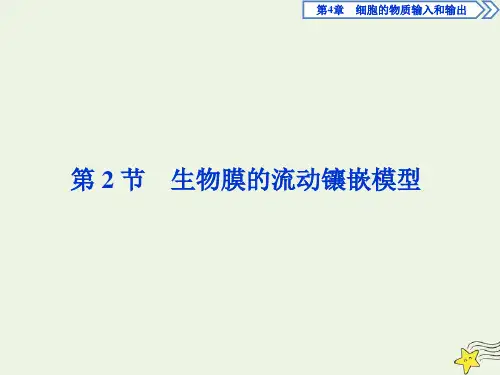 高中生物第4章第2节生物膜的流动镶嵌模型课件新人教版必修2