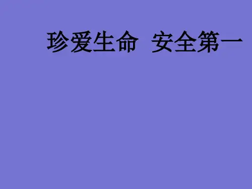 六年级安全班会教育课件-珍爱生命安全第一 全国通用(共34张PPT)