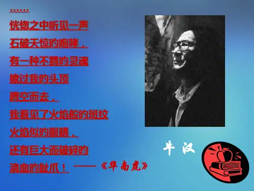 八年级语文下册-第一单元第3课《我的第一本书》-人教新课标版市公开课获奖课件省名师示范课获奖课件