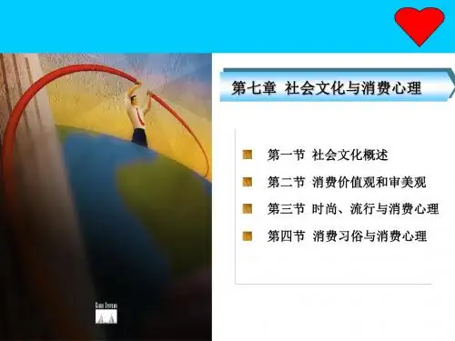 第七章-社会文化与消费心理