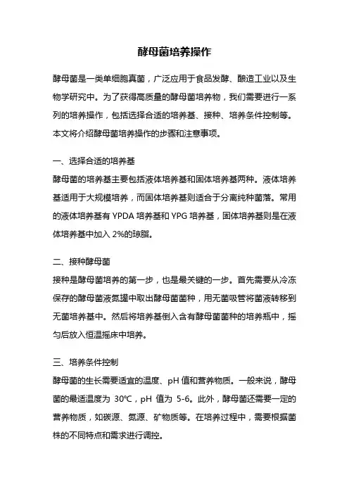 酵母菌培养操作