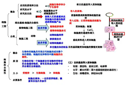生物选修三基因工程与细胞工程精简总结