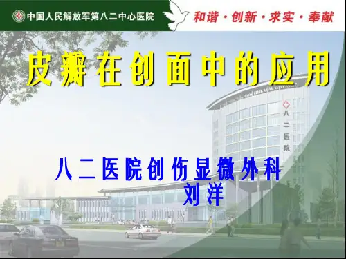 《皮瓣》幻灯片PPT