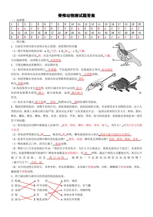 脊椎动物练习题