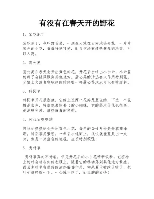 有没有在春天开的野花