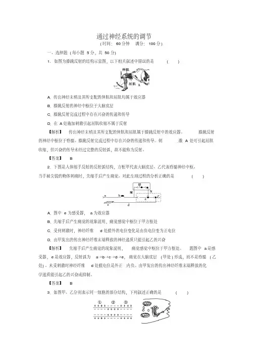 2019届高考生物总复习通过神经系统的调节试题(含解析)