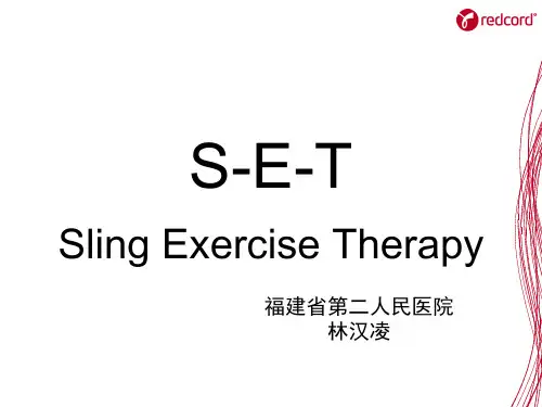 S-E-T Sling Exercise Therapy