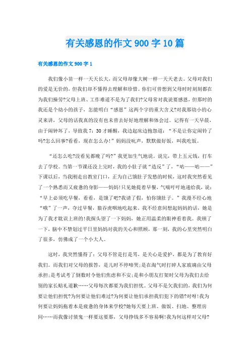 有关感恩的作文900字10篇