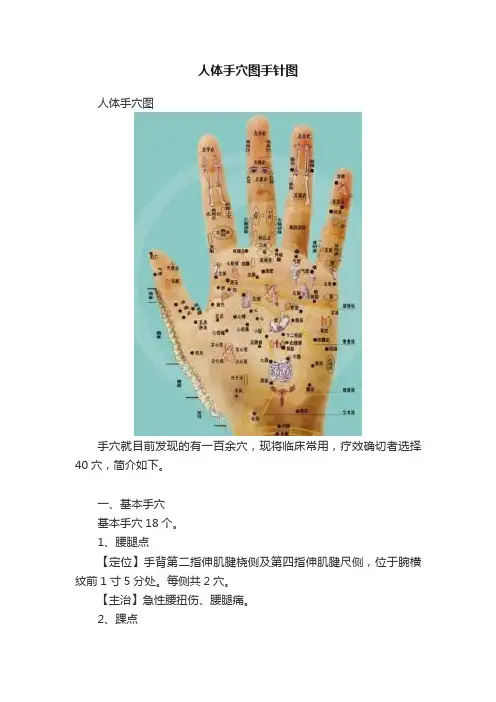人体手穴图手针图