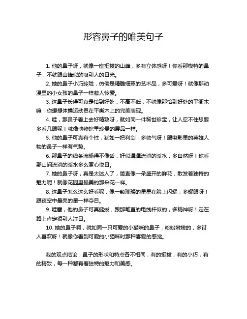 形容鼻子的唯美句子