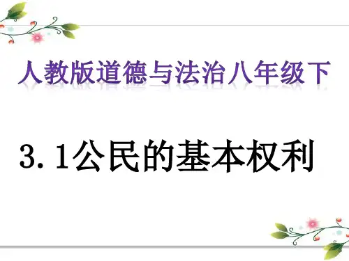 人教版《道德与法治》八年级下册 3.1公民基本权利复习课件 (共25张PPT)