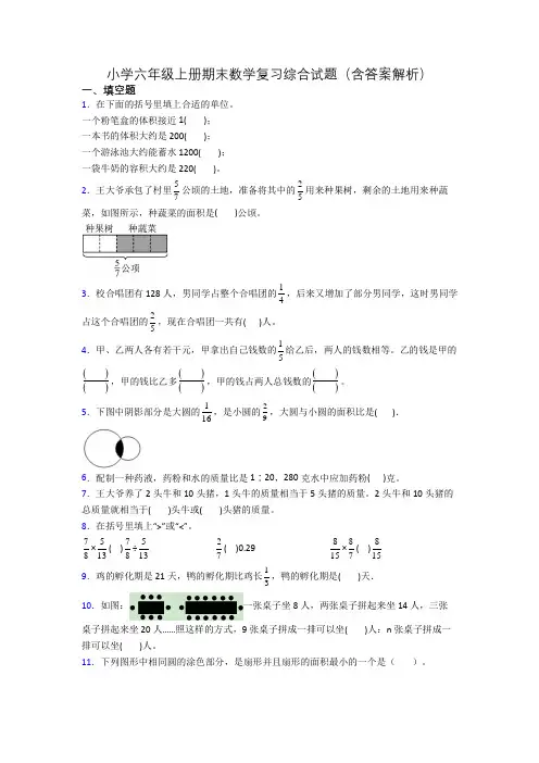 小学六年级上册期末数学复习综合试题(含答案解析)