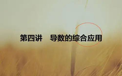 2018届高考数学文二轮复习课件：2.2.4 导数的综合应用 精品