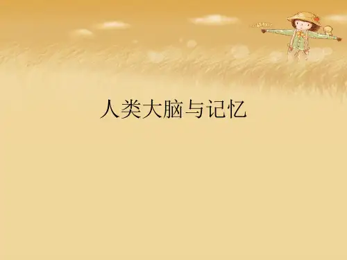 人类大脑与记忆.完整版PPT文档
