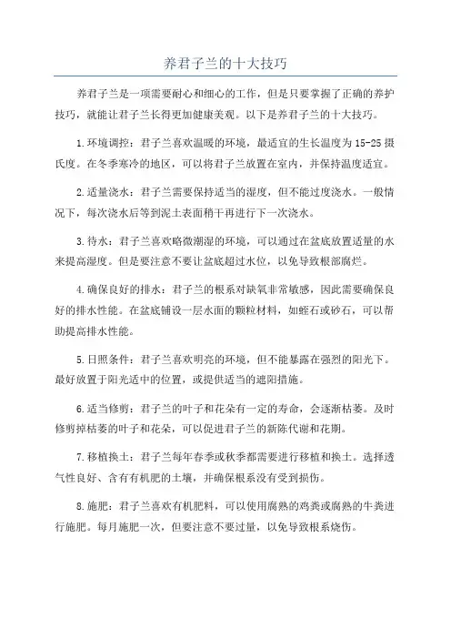 养君子兰的十大技巧