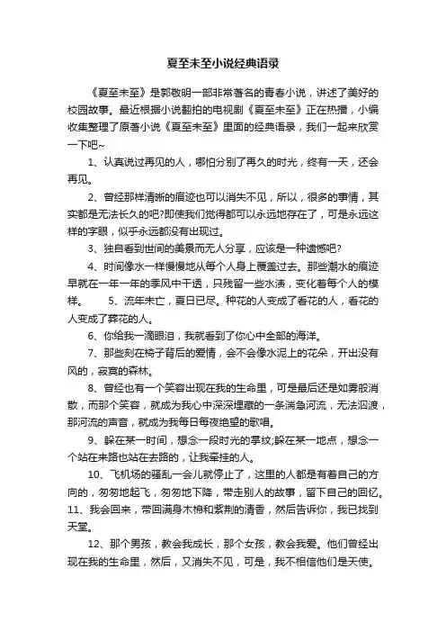 夏至未至小说经典语录