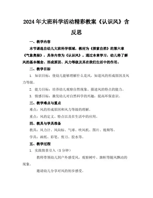 2024年大班科学活动精彩教案《认识风》含反思