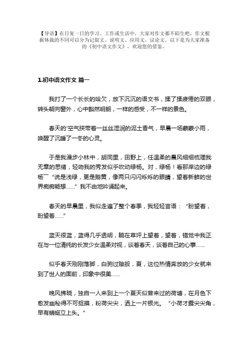 初中语文作文（精选10篇）