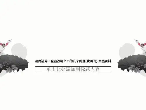 渤海证券：企业改制上市的几个问题(袁鸿飞)-文档资料
