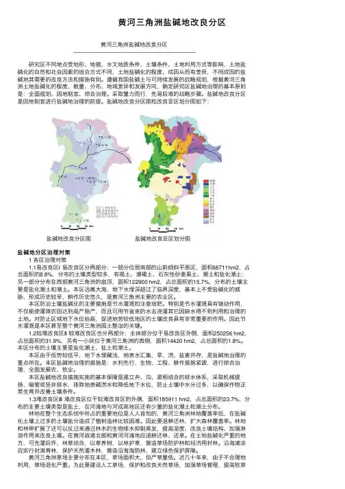 黄河三角洲盐碱地改良分区