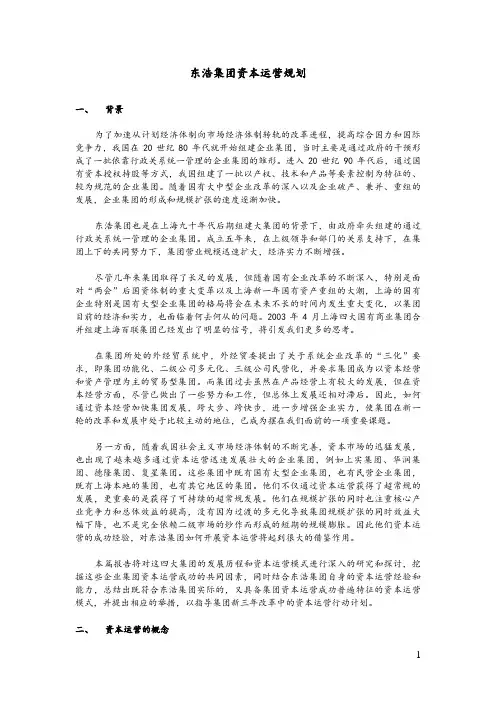 东浩集团资本运营规划报告_主体_2.doc