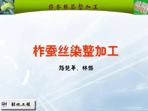 蚕丝染色PPT参考课件