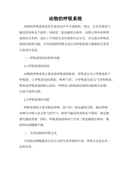 动物的呼吸系统