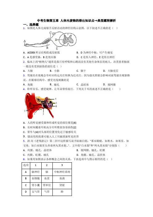 中考生物第五章 人体内废物的排出知识点-+典型题附解析
