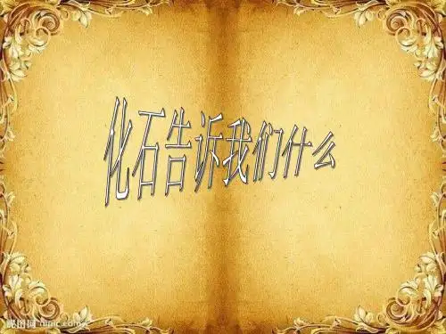 化石告诉我们什么