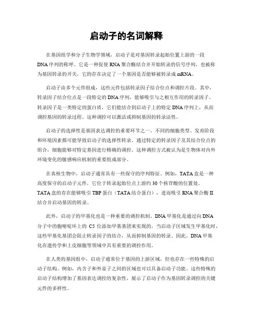 启动子的名词解释